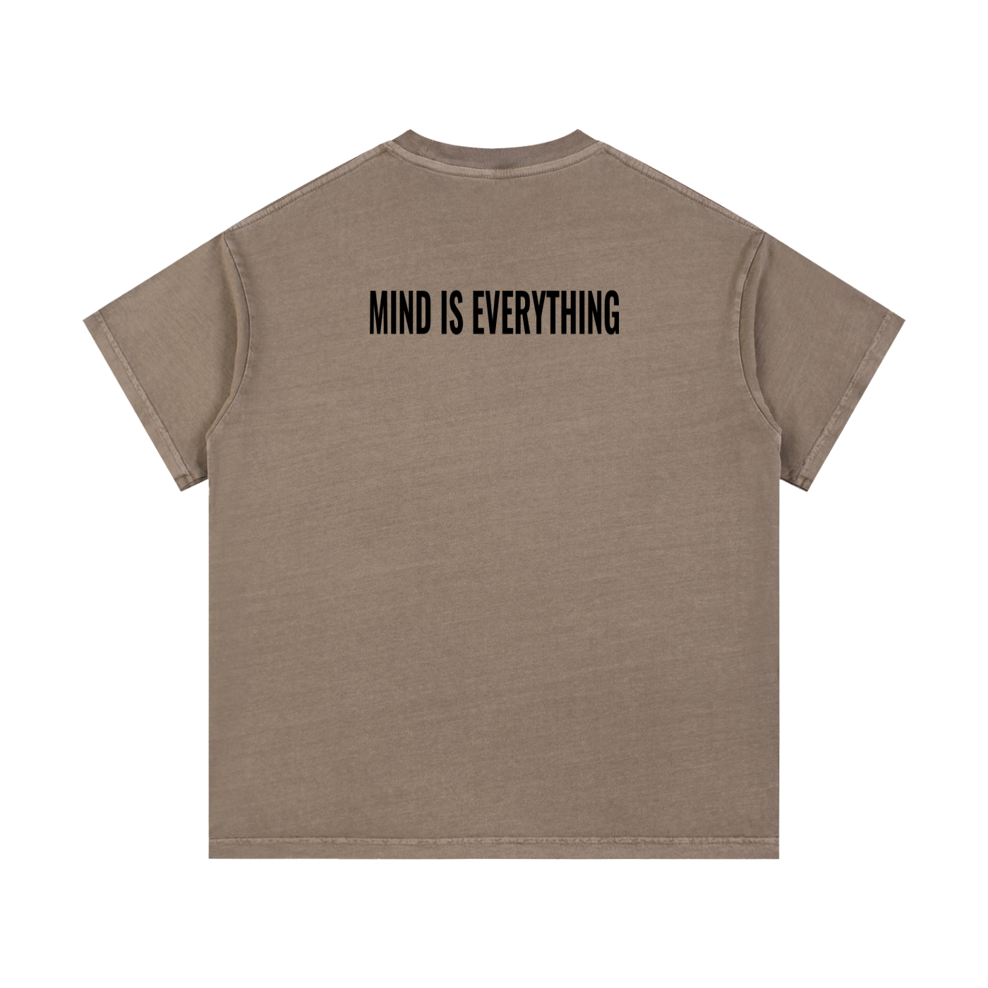 Einstein Reverse cotton washed T-shirt