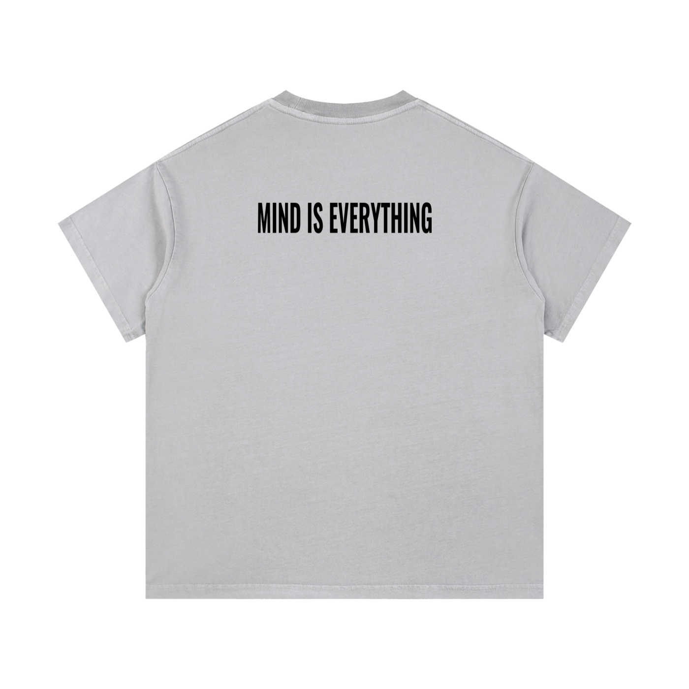 Einstein Reverse cotton washed T-shirt