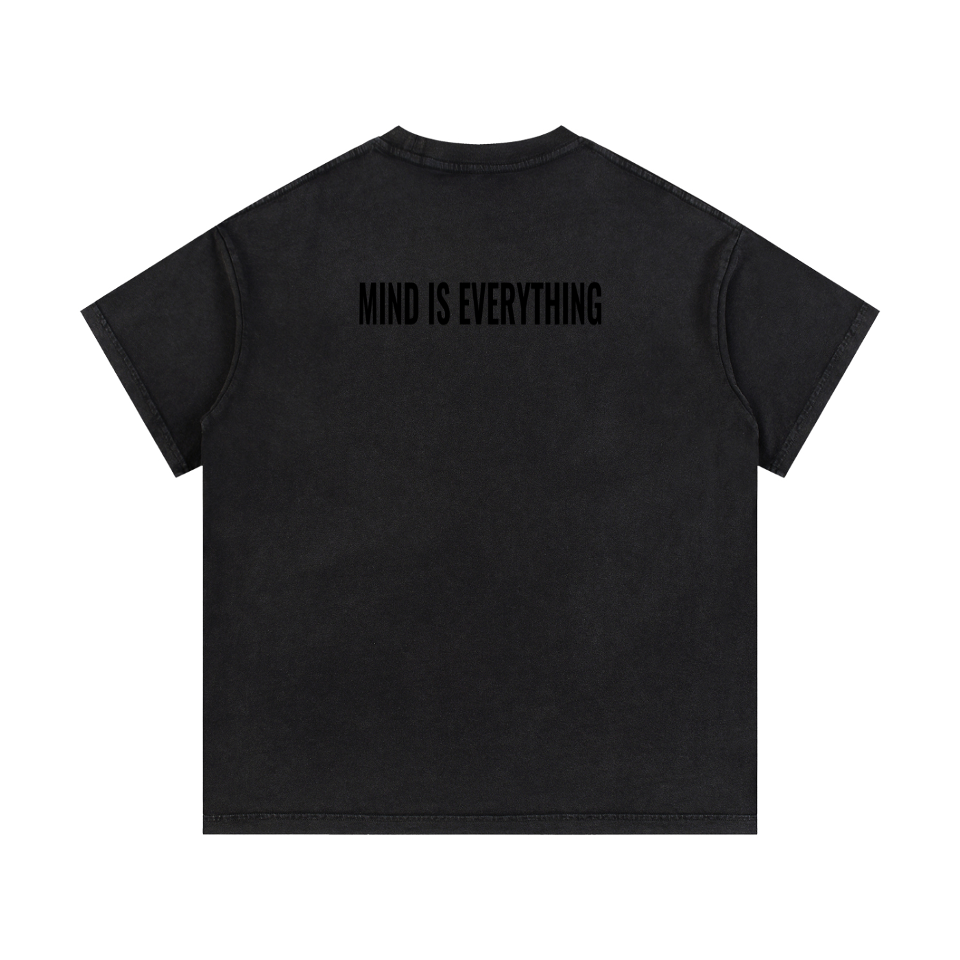 Einstein Reverse cotton washed T-shirt
