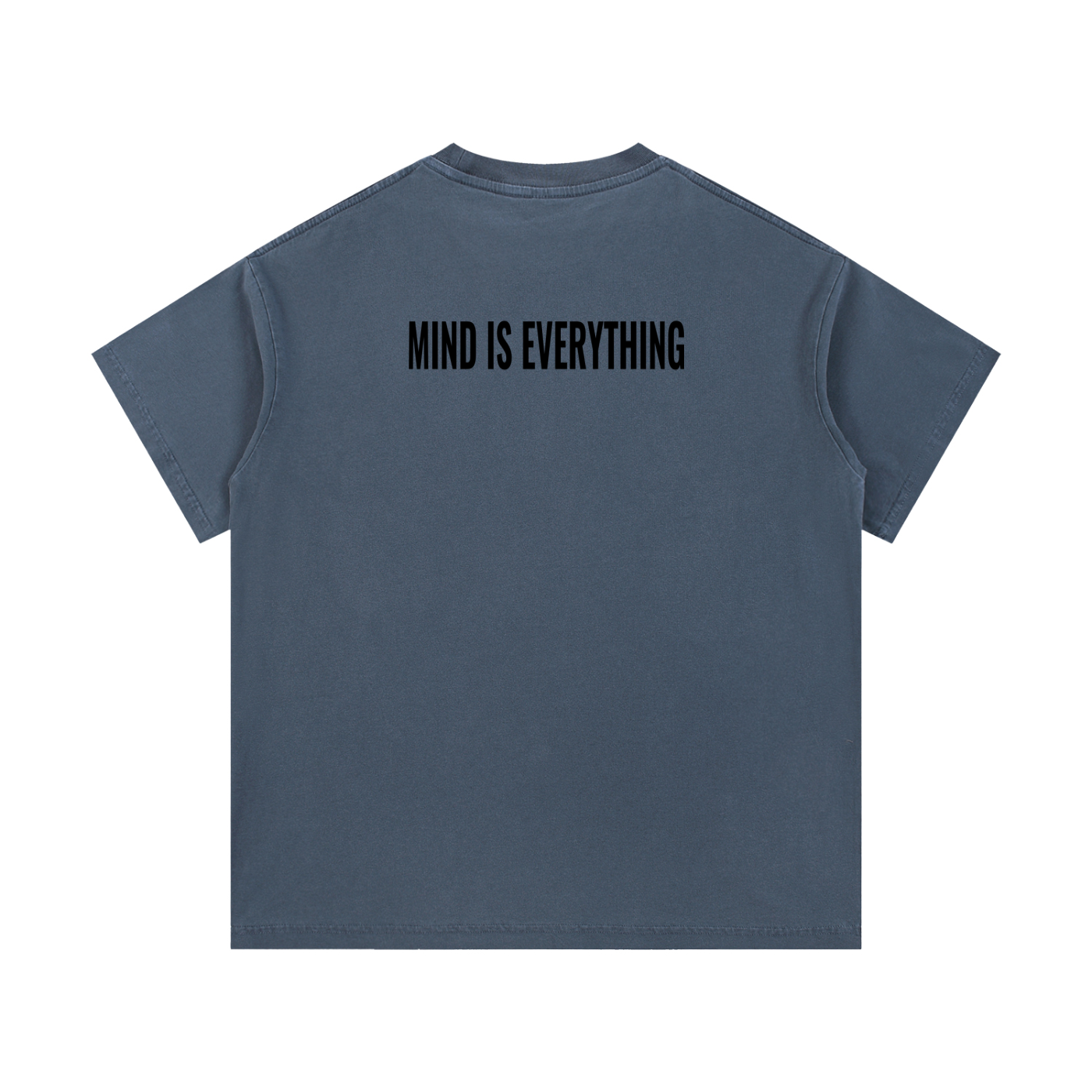 Einstein Reverse cotton washed T-shirt