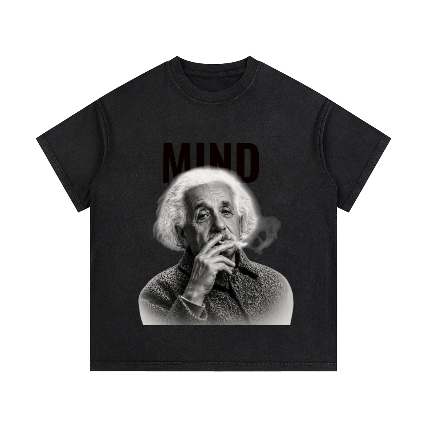 Einstein Reverse cotton washed T-shirt
